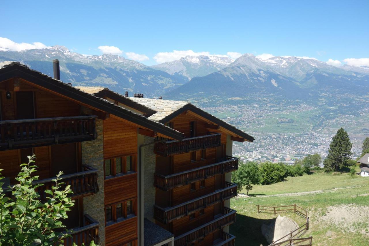 Plein Ciel Mountain & Cosy Apartments By Alpvision Residences 维松纳 外观 照片